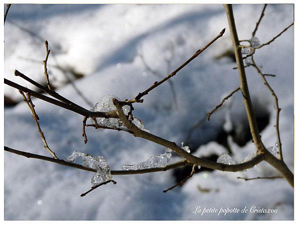 PROMENADE GLACIALE DANS LE VEXIN promenade1.jpg