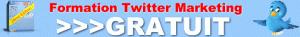 Formation Twitter ban728x90 « La Formation Twitter »