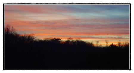 26 décembre 2010, les occupations du jour 26 décembre 2010, les occupations du jour