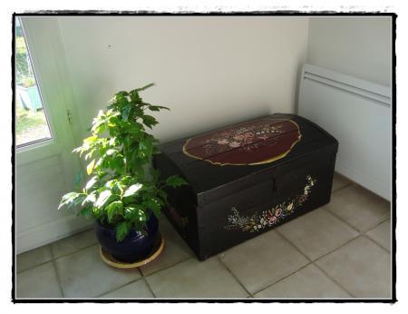 26 décembre 2010, les occupations du jour 26 décembre 2010, les occupations du jour