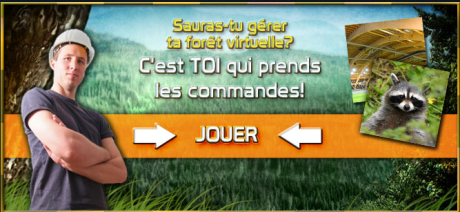 gestion-foret01.png