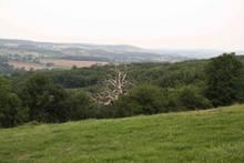 Quatre voies mènent à Vézelay (3) domecy-07-10.1290022168.jpg