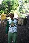 Un porteur de soufre dans la descente Un porteur de soufre dans la descente