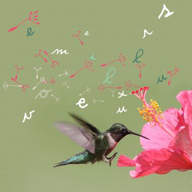 fin d'année : congés du 29/12 soir au 4/01/11 matin carte_colibri