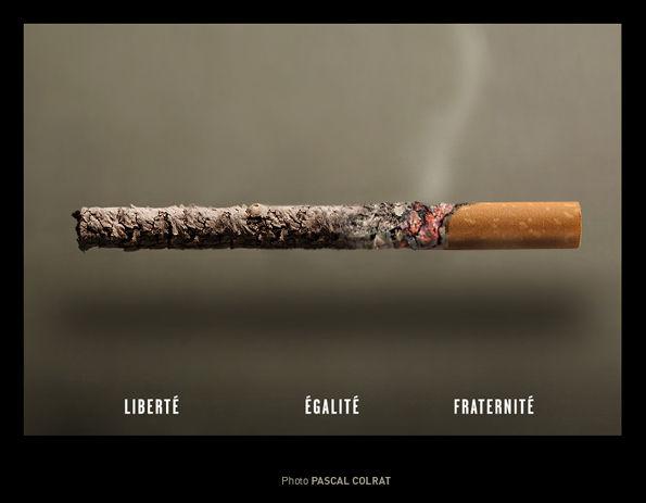 la vie qui va et qui s'affiche la vie qui va et qui s'affiche