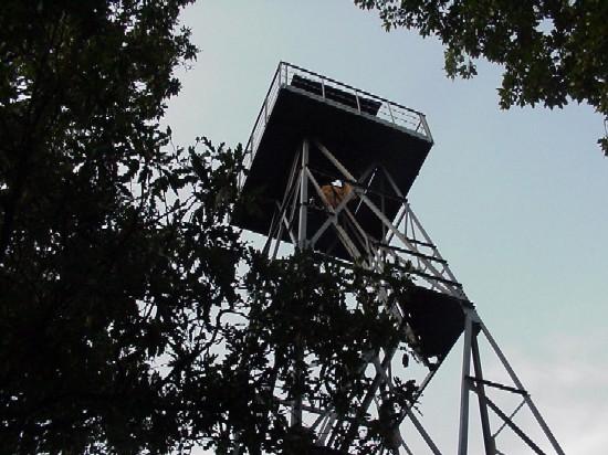 pic-nic-europa-7.1293576314.jpg