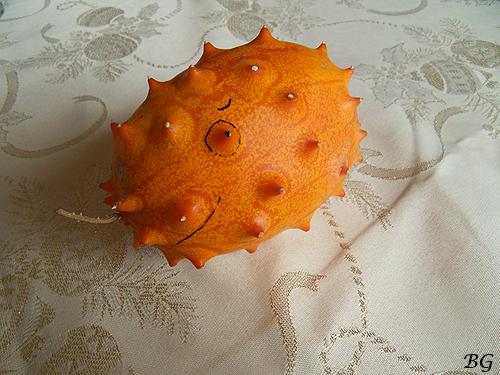 SAMSUNG DIGITAL CAMERA SDC14130f Chapitre 219: Taziki des Tropiques