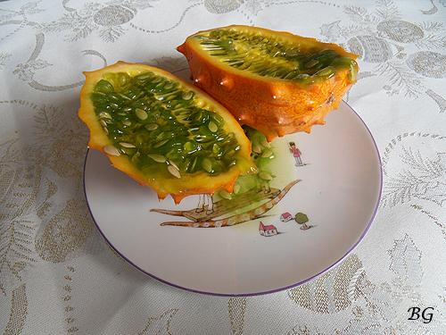 SAMSUNG DIGITAL CAMERA SDC14131f Chapitre 219: Taziki des Tropiques