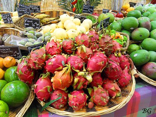 SAMSUNG DIGITAL CAMERA SDC14110F Chapitre 219: Taziki des Tropiques