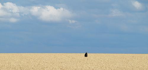 Partage des tâches a taste of (boring) freedom