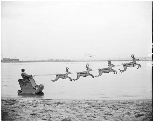 C'est vendredi, c'est le Bordel de Naël (#48) C'est vendredi, c'est le Bordel de Naël (#48)