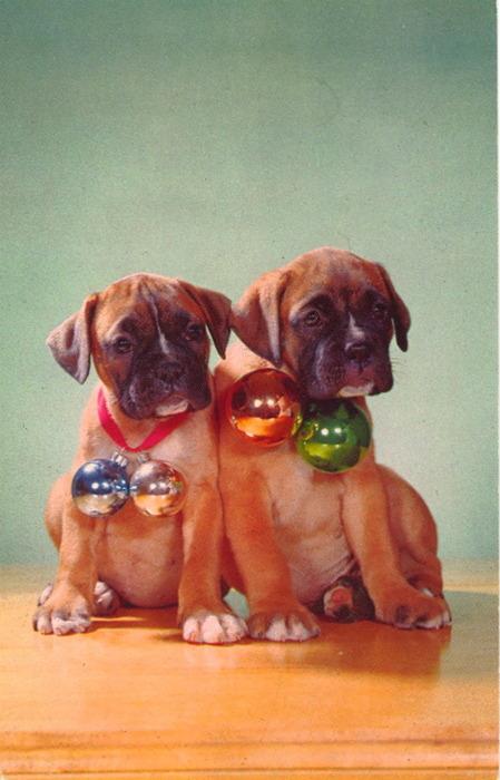 C'est vendredi, c'est le Bordel de Naël (#48) C'est vendredi, c'est le Bordel de Naël (#48)