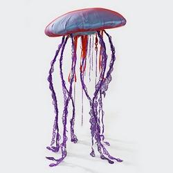 L'art des méduses de Pascaline Rey