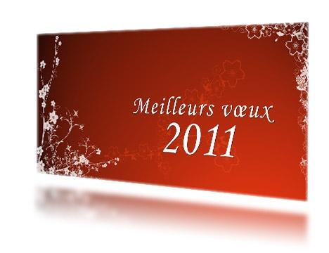 MES VOEUX POUR 2011 MES VOEUX POUR 2011