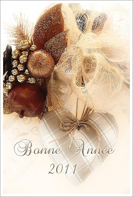 Trés Bonne Année 2011 ... bonneannee2011-copie-1.jpg