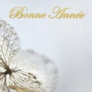 Je vous souhaite une succulente année 2011.Que cette anné... Je vous souhaite une succulente année 2011.Que cette anné...