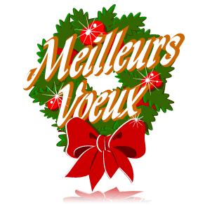 ~~ une se termine, une autre commence... ~~ 8196039meilleurs_voeux_gif