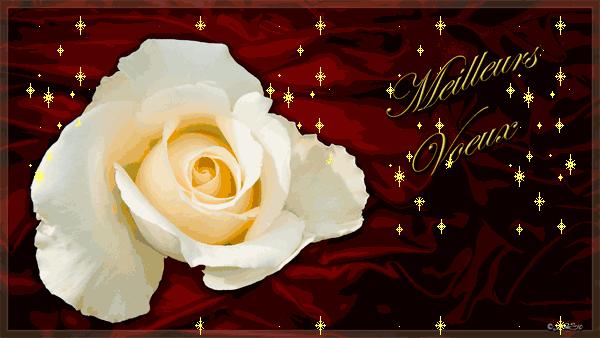 Carte-meilleurs-voeux Meilleurs LIvRoeux 2011