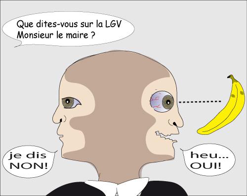 Le Janus Bifron :Dieu- singe au 2 vissages gardien de la ville janus bifron Sous la méga coupe de Limoges métropole ?