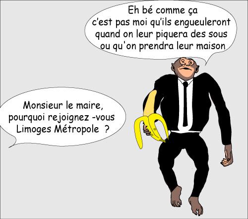 certains maires de la haute vienne sont issus du singe lesmairesdu limousin singe Sous la méga coupe de Limoges métropole ?