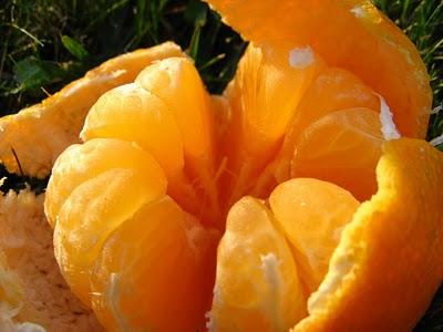 les clémentines de la nuit... les clémentines de la nuit...