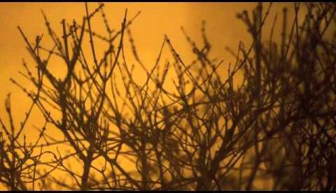 Une journée dans la neige un_homme_dans_le_blizzard