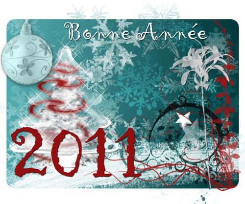 Bonne année 2011 !