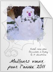 Meilleurs vœux !, janv. 2011 Meilleurs vœux !