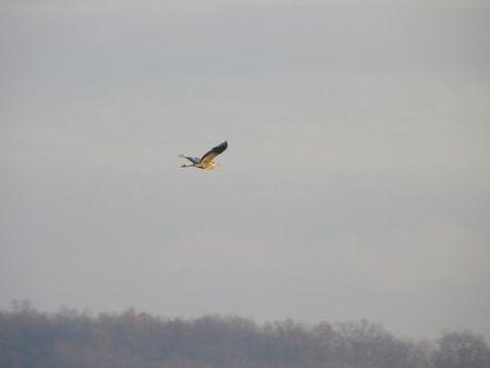 Première balade de 2011… 47