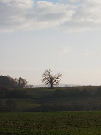 Première balade de 2011… 16