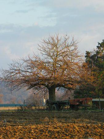 Première balade de 2011… 40