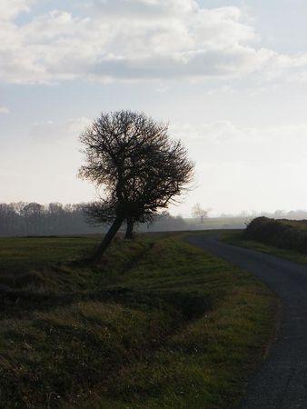 Première balade de 2011… 8