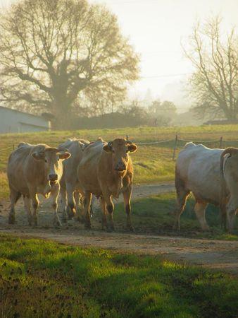 Première balade de 2011… 44