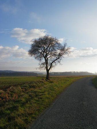 Première balade de 2011… 9