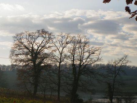 Première balade de 2011… 33