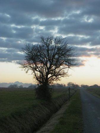 Première balade de 2011… 66