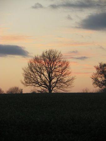 Première balade de 2011… 72