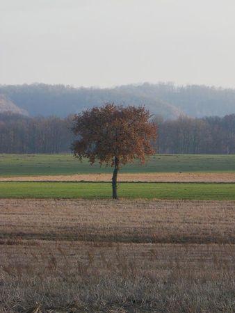 Première balade de 2011… 5