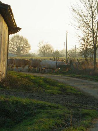 Première balade de 2011… 43