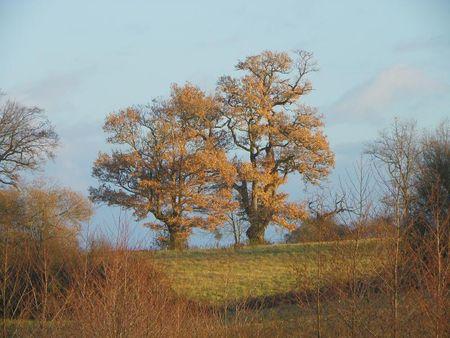 Première balade de 2011… 27