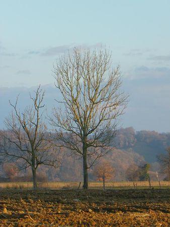 Première balade de 2011… 39