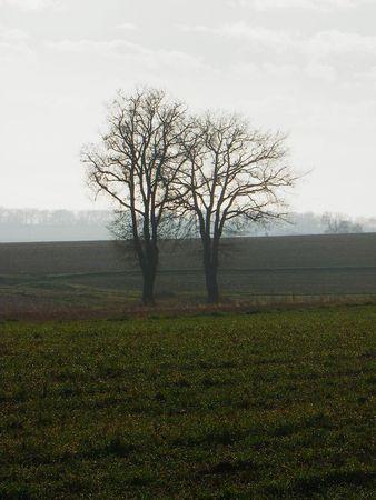 Première balade de 2011… 3