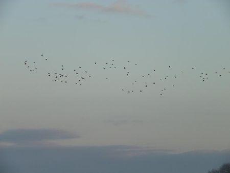 Première balade de 2011… 61