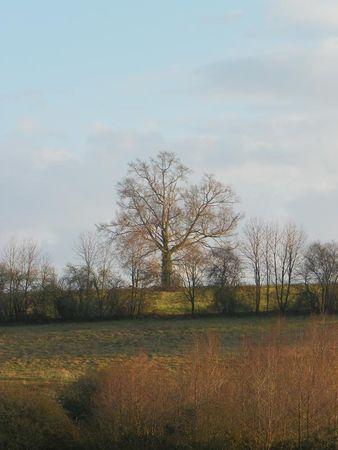 Première balade de 2011… 25