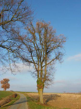 Première balade de 2011… 7