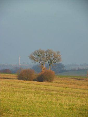 Première balade de 2011… 19