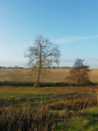 Première balade de 2011… 29