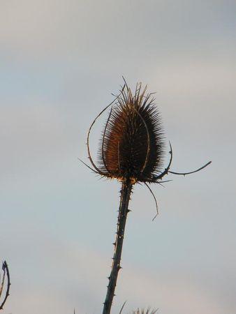 Première balade de 2011… 42