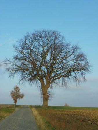 Première balade de 2011… 14