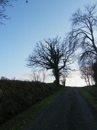 Première balade de 2011… 35